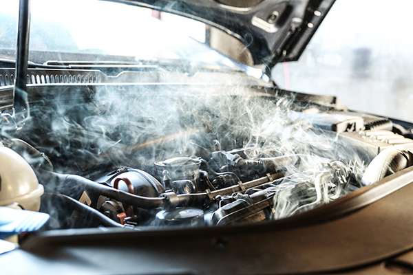 What to Do When You See Steam from Under the Hood | Westside Car Care